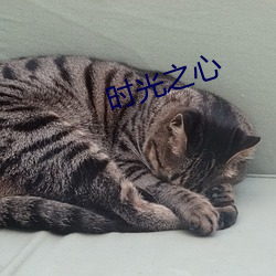 時光之心
