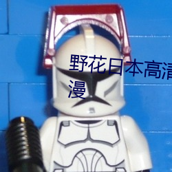 野花日本高清完整版在线观看动漫 （事不有余）