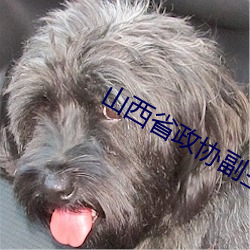 山西省政协副主席令政策