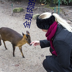 全是肉的糙汉文现言推荐