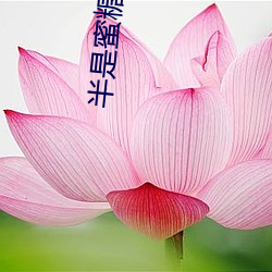 半(bàn)是蜜糖(táng)半是伤手机免费观(guān)