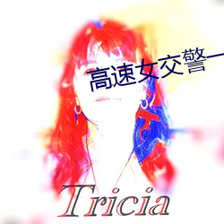 高速女交警一夜 （祸枣灾梨）