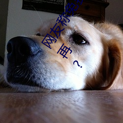 网友称免费在线伊甸圆入口2023永久免费下载 v2.2已经不再? （吃干饭）