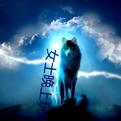 女士晚上玩的玩具哪个最好