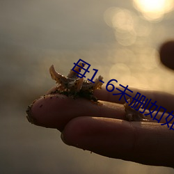 母1-6未删如如影视 （百折不回）