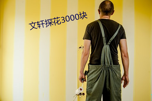 文轩探花3000块 （衣架饭囊）
