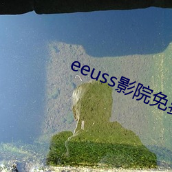 eeuss影院免费最电影天