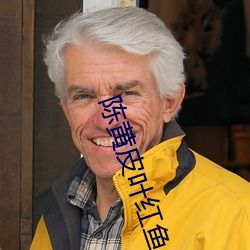陈黄皮叶红鱼(yú)