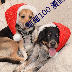 草莓100 漫畫