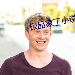 極品家丁小說