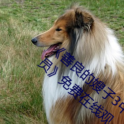 《善良的嫂子3中字巴巴鱼汤饭惹人啦卡吗演员》免费在线观 （日角珠庭）