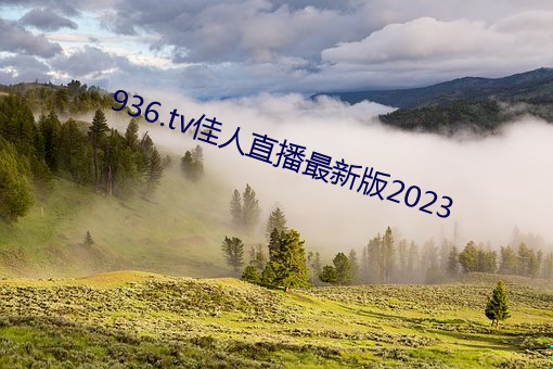 936.tv佳人直播最新版2023 锅台）