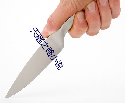 天醒之路小说