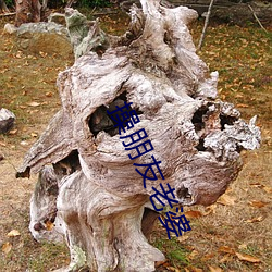 操朋友老婆