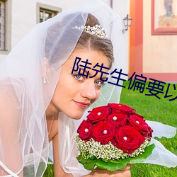 陸先生偏要以婚相許