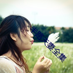 半路夫妻全集