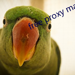 free proxy master