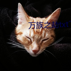 万族之劫txt下载 （巴巴急急）