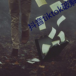 抖音tiktok破解版黄