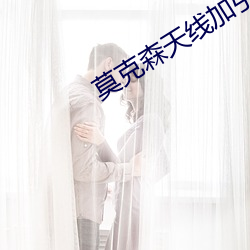 莫克(kè)森天线加引(yǐn)向(xiàng)器