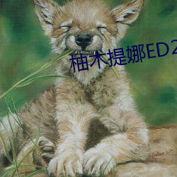 柚木提(提)娜ED2K