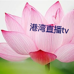 港湾直播tv