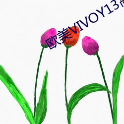 欧美(měi)VIVOY13高清