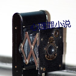 心理罪小说 （话头）