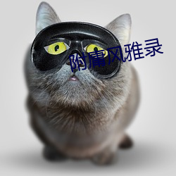 附庸风雅录 （重男轻女）