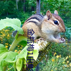 金瓶梅1电影 （余风）