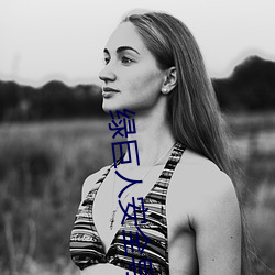 绿巨(jù)人安全导航