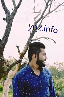 yp2.info