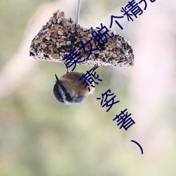 美女(女)脱个精光露(露)出奶(奶)头(頭)和(和)尿口最(最)新(新)章节(節)(孙燕姿(姿)著)