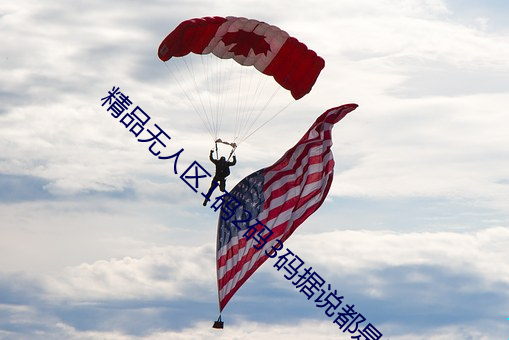 精品无(wú)人区1码(mǎ)2码3码据说都是没有区别的
