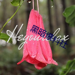 黑暗(暗)爆料社