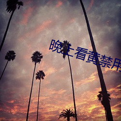 晚上看黄禁用(yòng)直播