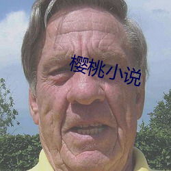 樱桃小说