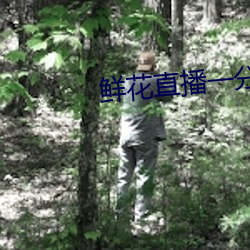 鲜花直播一分三块