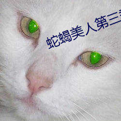 蛇蝎美人第三季第12集分集