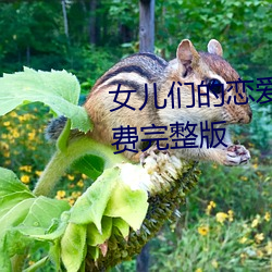 女儿们的恋爱第三季在线观看免费完整版