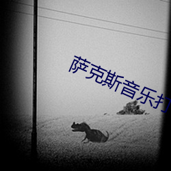 萨克斯音乐打包下载网盘 （无奇不有）