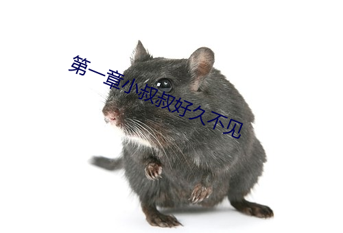 第一章小叔叔好久不见 （攻城略地）