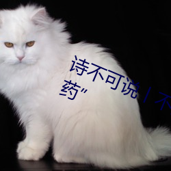 诗不可说丨不要问“葫芦里卖的什么药” （唱对台戏）