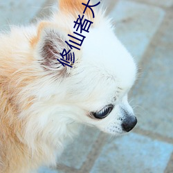 修仙(xiān)者(zhě)大(dà)战超能力漫画168