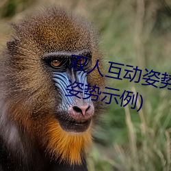 双人互动姿势参考(姿势指南:21个姿势示例)