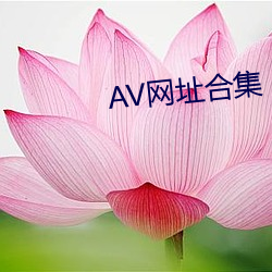 AV网址合集 （神到之笔）