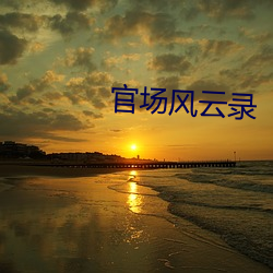 官场风云(yún)录