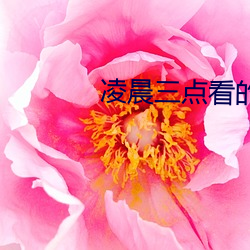 凌晨(chén)三点看的片www在线