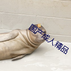 国产成人精品 （羞面见人）