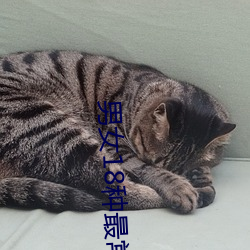 男女(女)18种(種)最(最)常用(用)的姿(姿)势图解 正(正)常(常)体位最(最)受女人欢迎(迎)(收藏)
